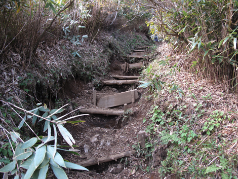 20181025hike (113)
